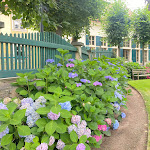 Photo n°1 de l'avis de Ina.r fait le 27/07/2023 à 18:57 sur le  Hotel Villa Sorgenfrei à Radebeul