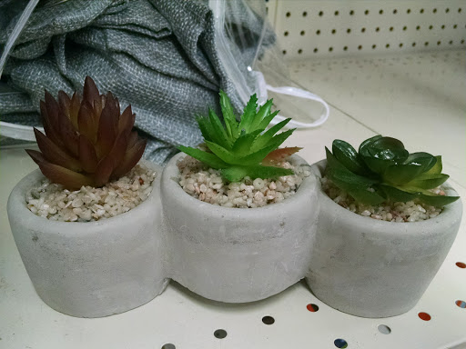 Discount Store «Big Lots», reviews and photos, 631 Milford Harrington Hwy, Milford, DE 19963, USA