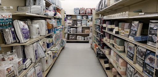 Discount Store «Big Lots», reviews and photos, 968 N Colony Rd, Wallingford, CT 06492, USA