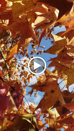 Farm «Manoff Market Gardens», reviews and photos, 3157 Comfort Rd, Solebury, PA 18963, USA