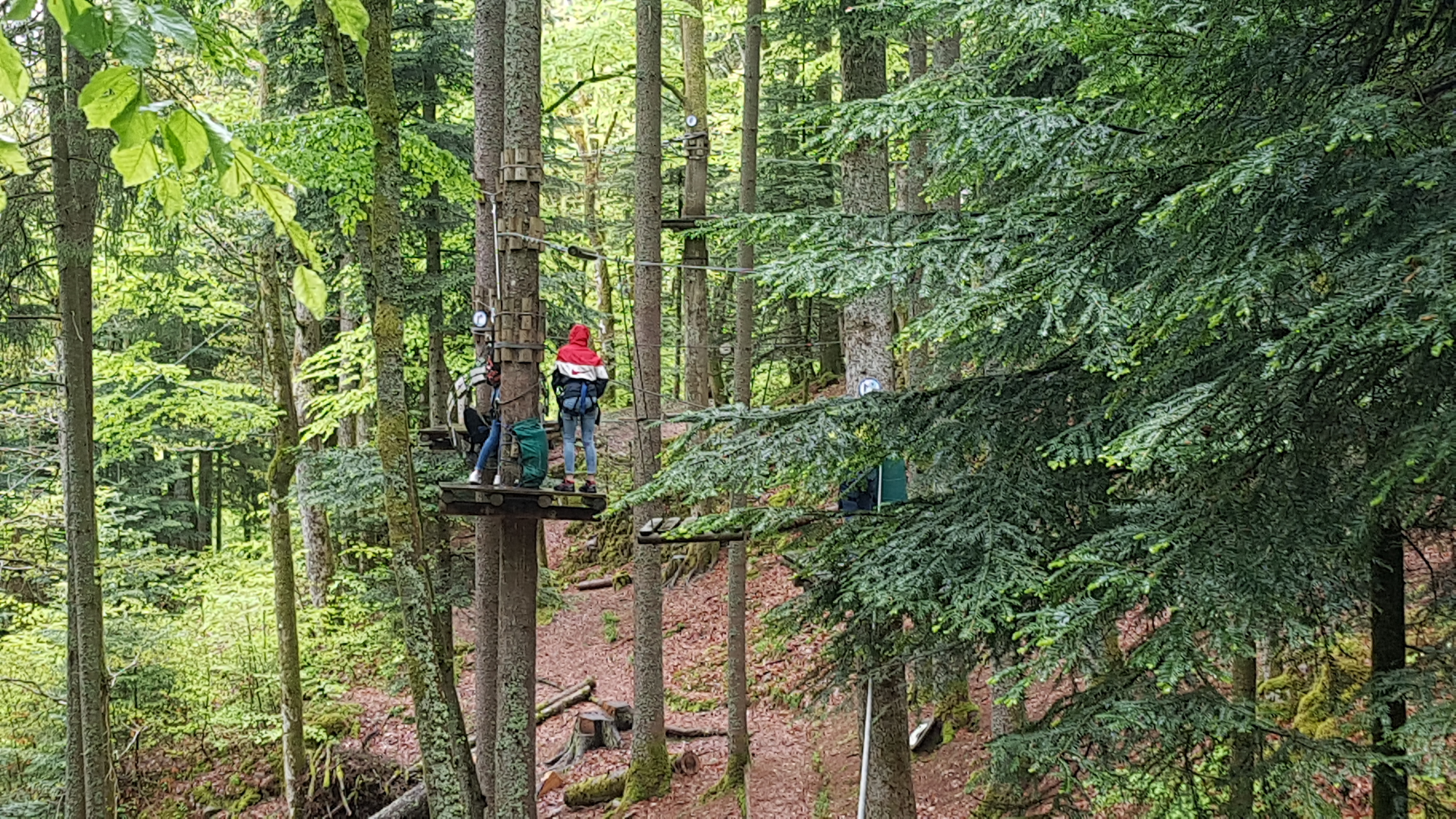 Photo n° 3 de l'avis de Erwin.u fait le 08/05/2019 à 06:26