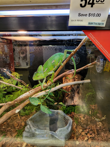 Pet Supply Store «PetSmart», reviews and photos, 745 W Huntington Dr, Monrovia, CA 91016, USA