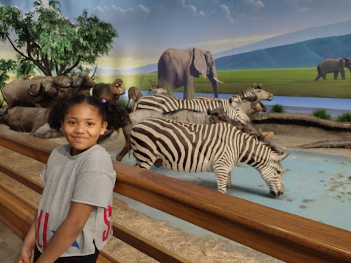 Sporting Goods Store «Bass Pro Shops Base Camp», reviews and photos, 2500 E Kearney St, Springfield, MO 65803, USA