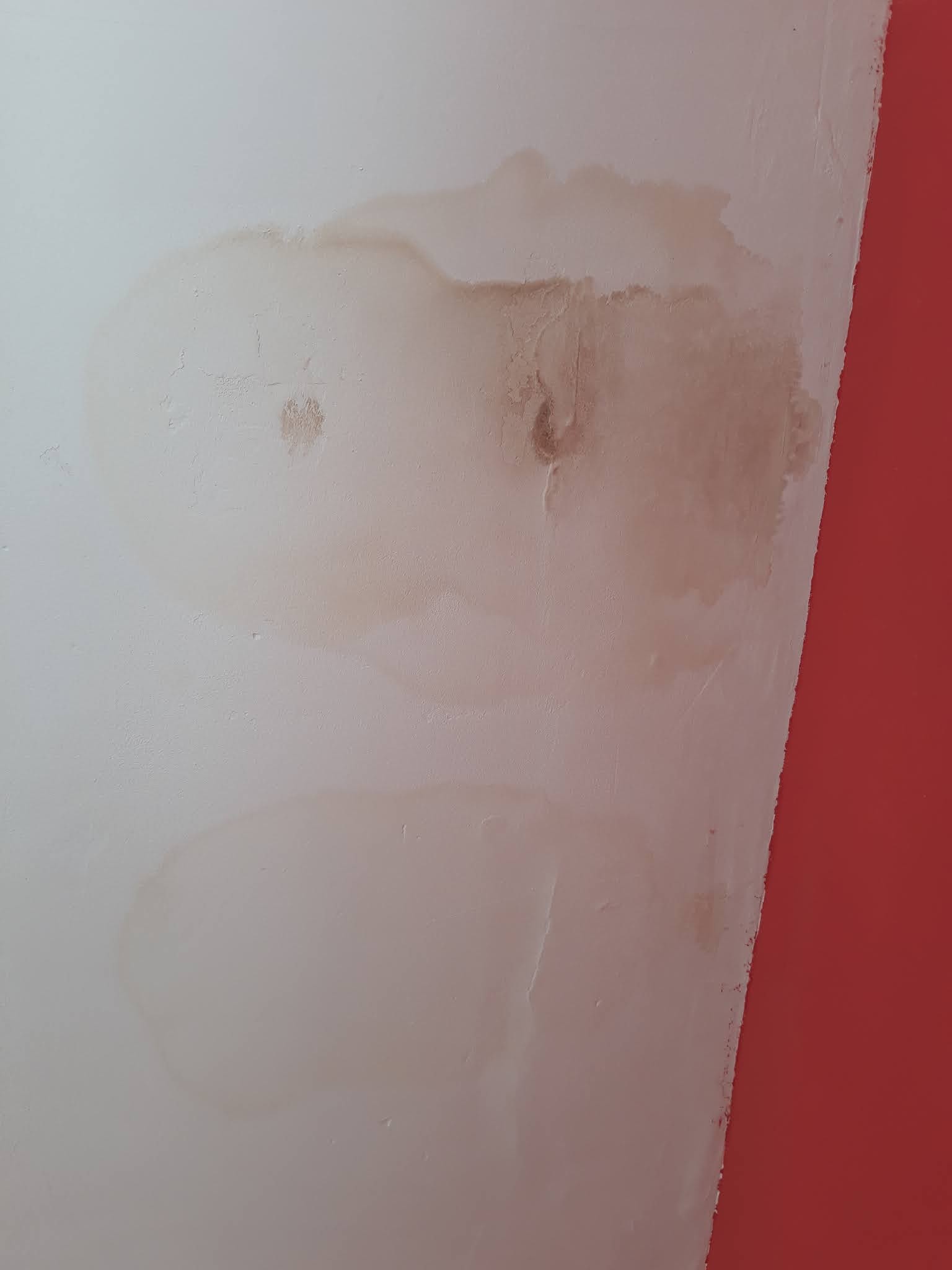 Photo n° 4 de l'avis de Marion.e fait le 11/03/2020 à 17:08