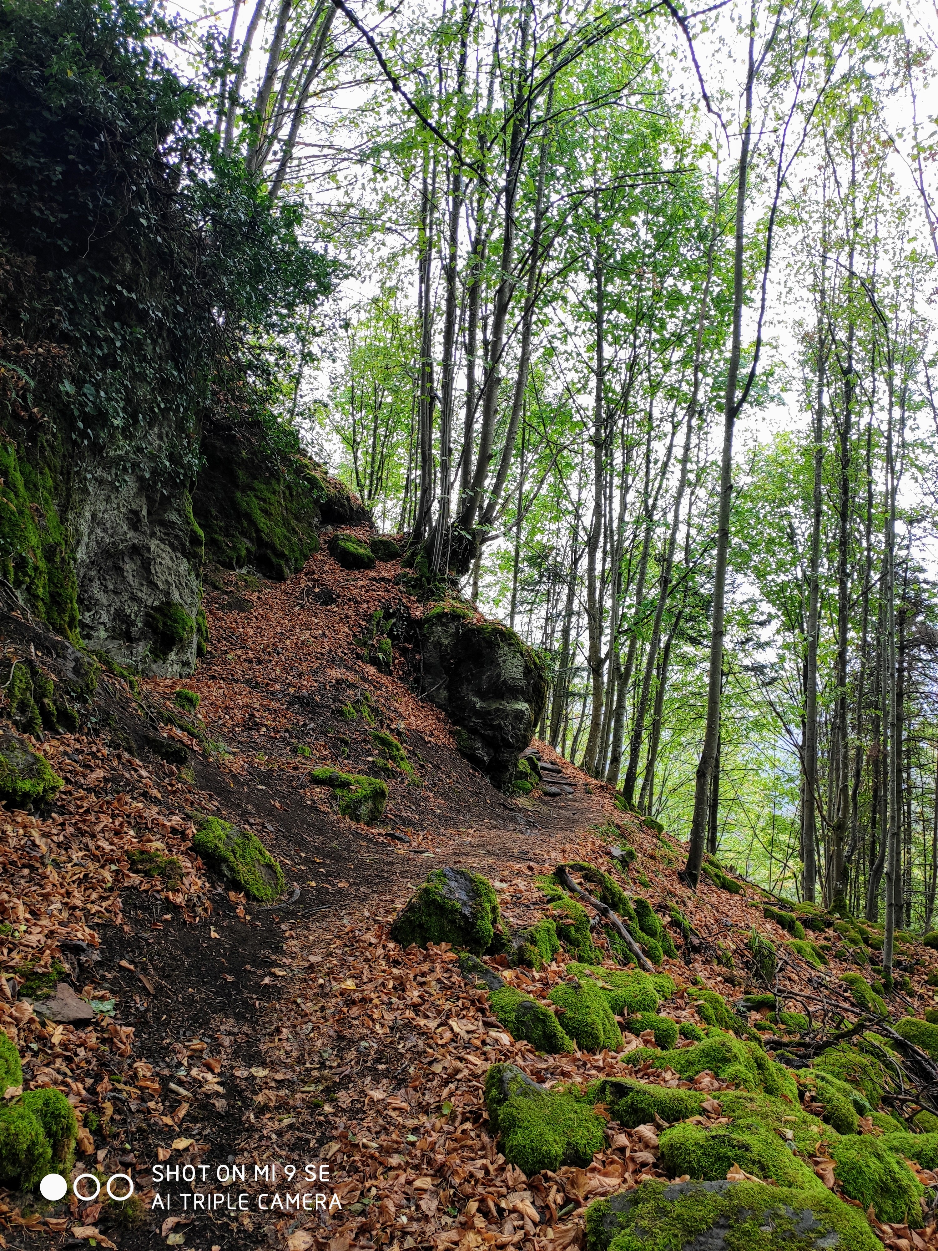 Photo n° 2 de l'avis de rebecca. fait le 30/08/2020 à 13:15