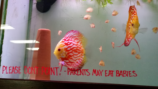 Pet Store «Wet Pets And Friends», reviews and photos, 3695 Washington Rd, Canonsburg, PA 15317, USA