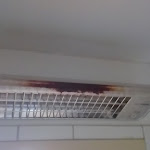 Photo n°9 de l'avis de Patrick.a fait le 21/06/2018 à 12:46 sur le  Petul Hotel An der Zeche à Essen