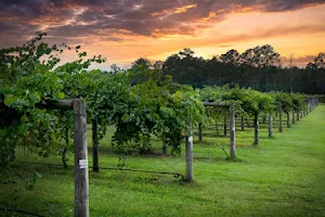 Cypress Bend Vineyards image