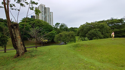 Basketball courts in Panama