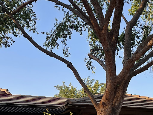 Roofing Contractor «Gryphon Roofing & Remodeling», reviews and photos, 2128 E Cedar St, Tempe, AZ 85281, USA