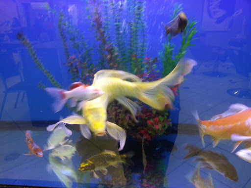 Day Spa «Camilla Day Spa: Aveda Lifestyle Salon», reviews and photos, 9267 W Atlantic Blvd, Coral Springs, FL 33071, USA