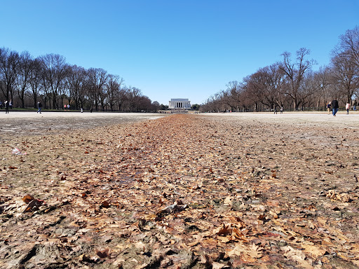 Monument «Lincoln Memorial», reviews and photos, 2 Lincoln Memorial Cir NW, Washington, DC 20037, USA