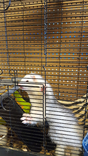 Pet Store «Pet Planet», reviews and photos, 200 1/2 Lane Parkway, Shelbyville, TN 37160, USA