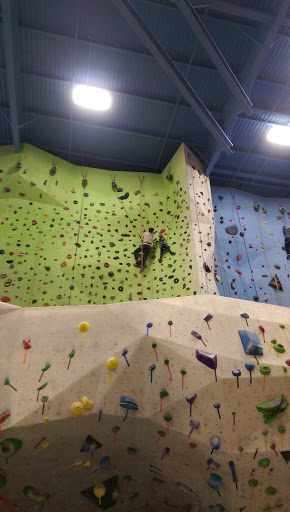 Rock Climbing «Planet Rock Climbing Gym», reviews and photos, 1103 W 13 Mile Rd, Madison Heights, MI 48071, USA