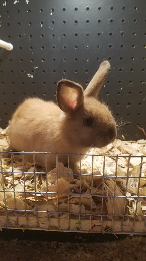 Pet Store «Fancy Tails Fish Farm», reviews and photos, 2324 US Hwy 27 S, Sebring, FL 33872, USA