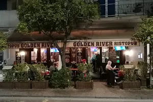 Golden River Pub image