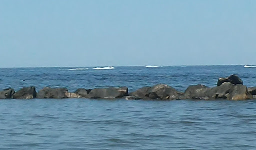 Water Sports Equipment Rental Service «Great White Water Sports», reviews and photos, 1000 E Ocean View Ave, Norfolk, VA 23503, USA