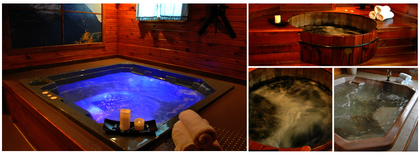 Oasis Hot Tub Spa 01536
