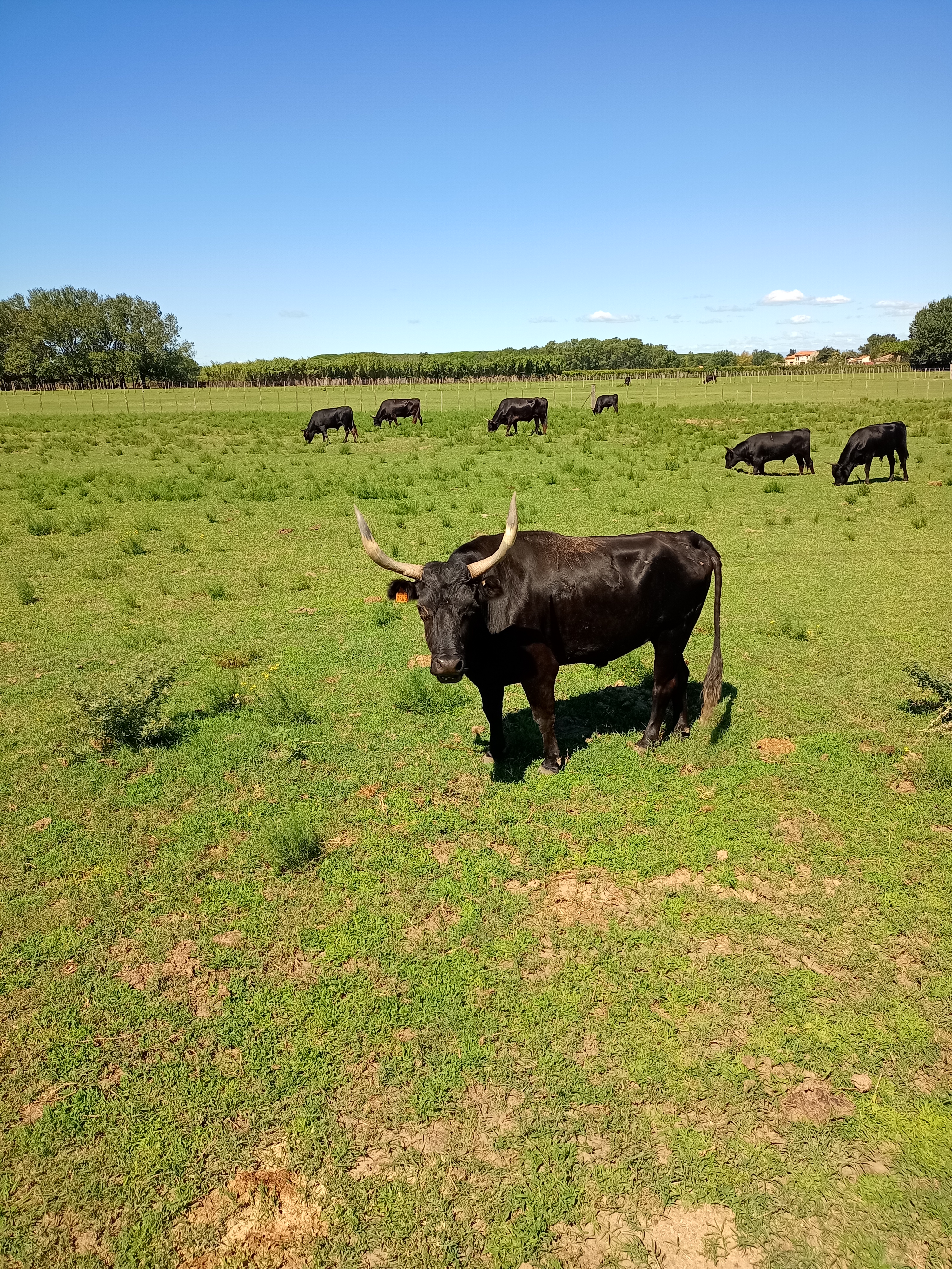 Photo n° 3 de l'avis de Véronique. fait le 21/08/2022 à 17:43