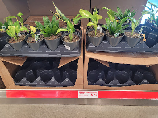 Supermarket «ALDI», reviews and photos, 3851 FM2181, Corinth, TX 76210, USA