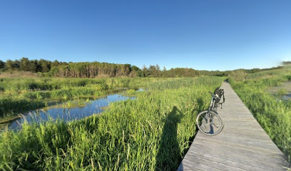 Bord og bænk