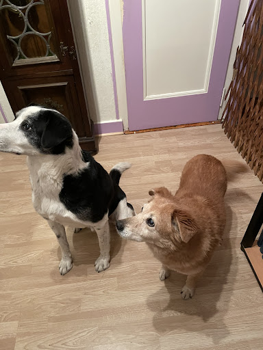 TerranovaCNC 11 - Mataró