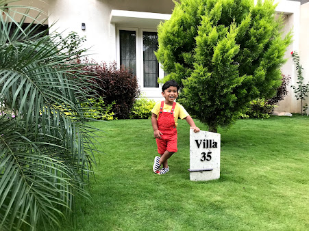 Google Maps image 19