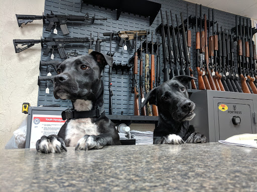 Mad Dog Pawn, 3324 Manatee Ave W, Bradenton, FL 34205, USA, 