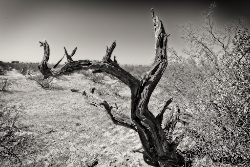 National Park «Casa Grande Ruins National Monument», reviews and photos, 1100 W Ruins Dr, Coolidge, AZ 85128, USA
