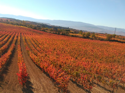 RESTAURANTE PAGANOS LA RIOJA