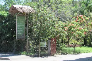 Sibulan Plantasia Park Inc. image