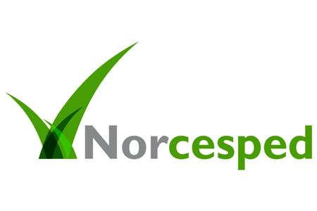 Imagen de Norcesped, Césped Artificial. (21 de 22)