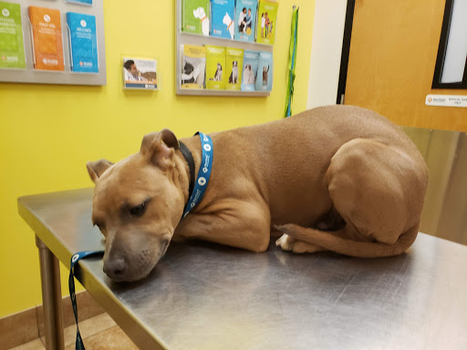 Pet Supply Store «PetSmart», reviews and photos, 1743 Stringtown Rd, Grove City, OH 43123, USA