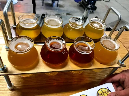 Craft beer at a brewery in Knoxville Tennessee
