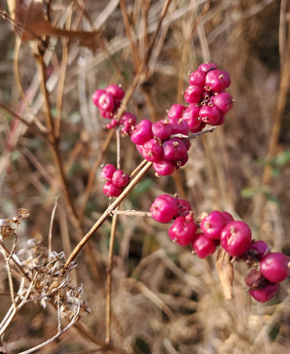 State Park «Taylorsville Lake State Park», reviews and photos, 1320 Park Rd, Mt Eden, KY 40046, USA