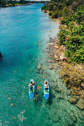 Surf Shop «Blueline Surf & Paddle», reviews and photos, 997 Florida A1A, Jupiter, FL 33477, USA