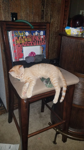 Pet Supply Store «PetSmart», reviews and photos, 15555 E 14th St, San Leandro, CA 94578, USA