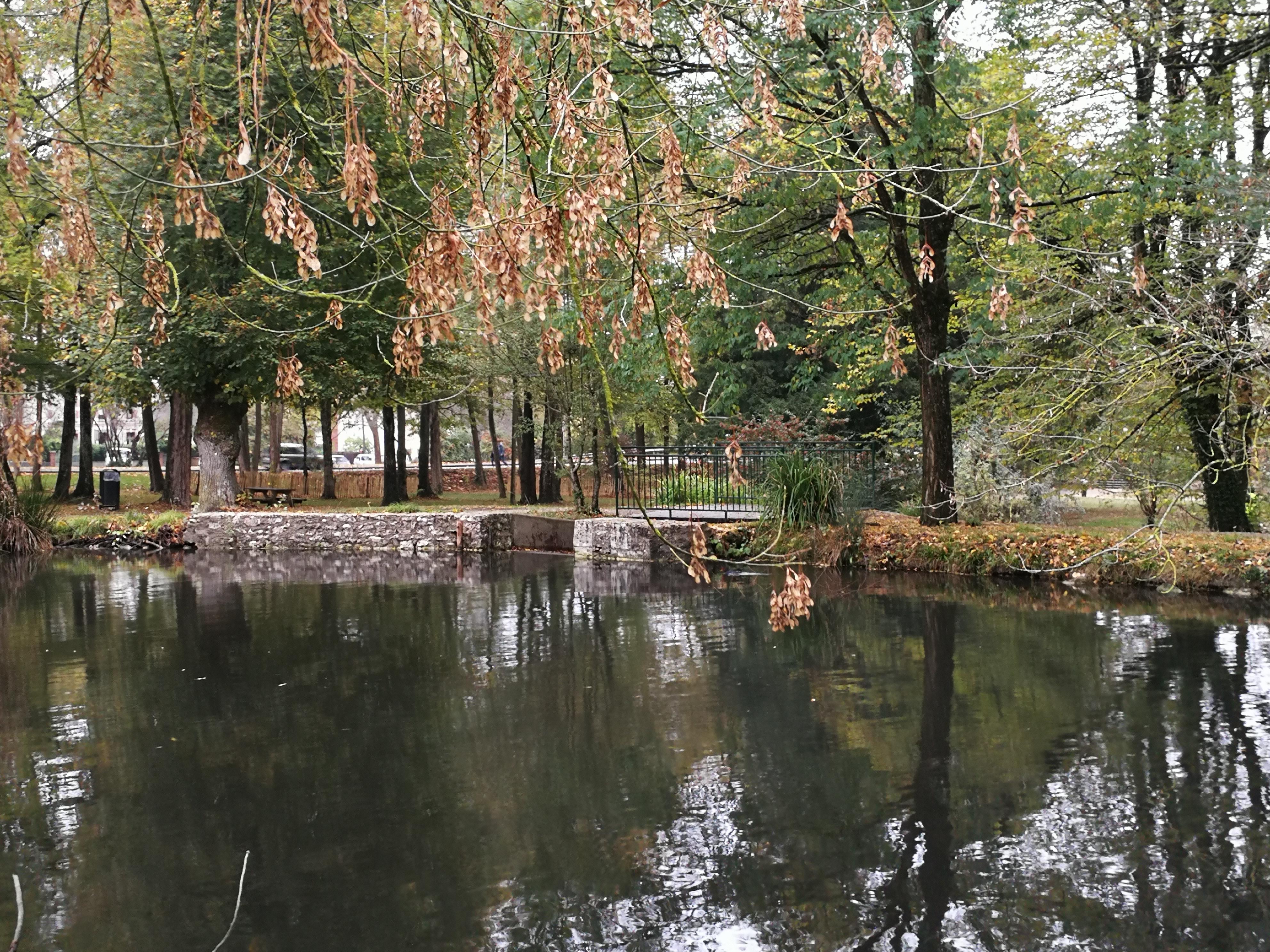 Photo n° 7 de l'avis de Francoise.o fait le 30/08/2018 à 14:33