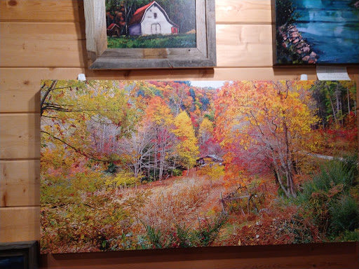 Winery «Cartecay Vineyards», reviews and photos, 5704 Clear Creek Rd, Ellijay, GA 30536, USA