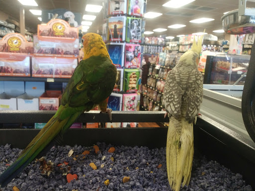 Pet Supply Store «Pet Valu», reviews and photos, 6220 Wilmington Pike D, Sugarcreek Township, OH 45459, USA