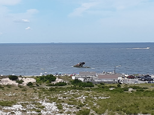 Historical Landmark «Wreck of the SS Atlantus», reviews and photos, Sunset Blvd, Cape May, NJ 08204, USA