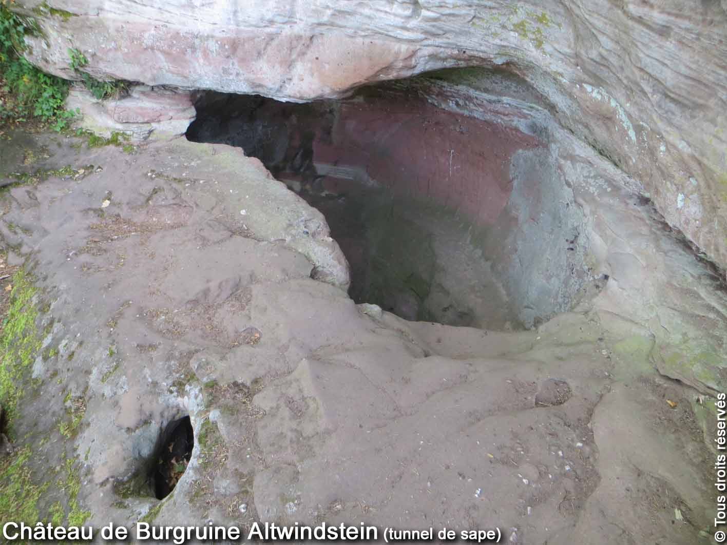 Photo n° 12 de l'avis de Curieux.e fait le 07/05/2021 à 16:43