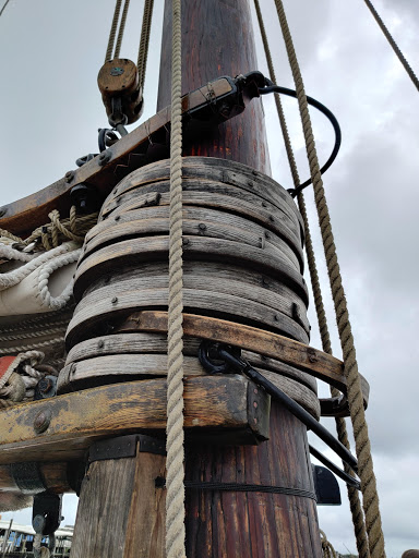 History Museum «Bayshore Center at Bivalve», reviews and photos, 2800 High St, Port Norris, NJ 08349, USA