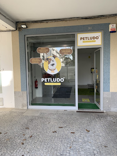 PetLudo Dog Wash - Viana do Castelo