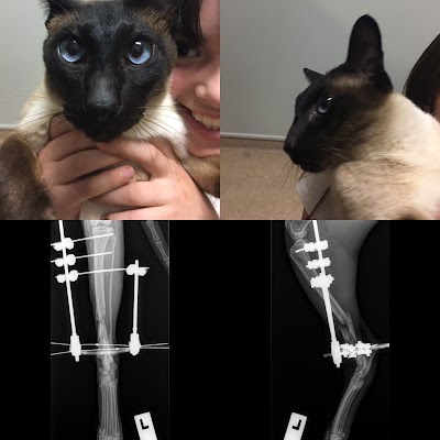 Photos of Eureka Veterinary Hospital (Ballarat)