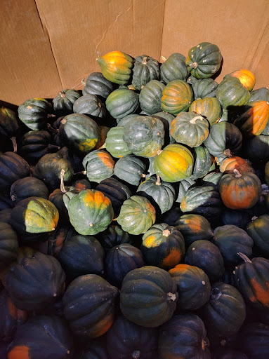 Dairy Farm «Milky Way Farm», reviews and photos, 521 E Uwchlan Ave, Chester Springs, PA 19425, USA