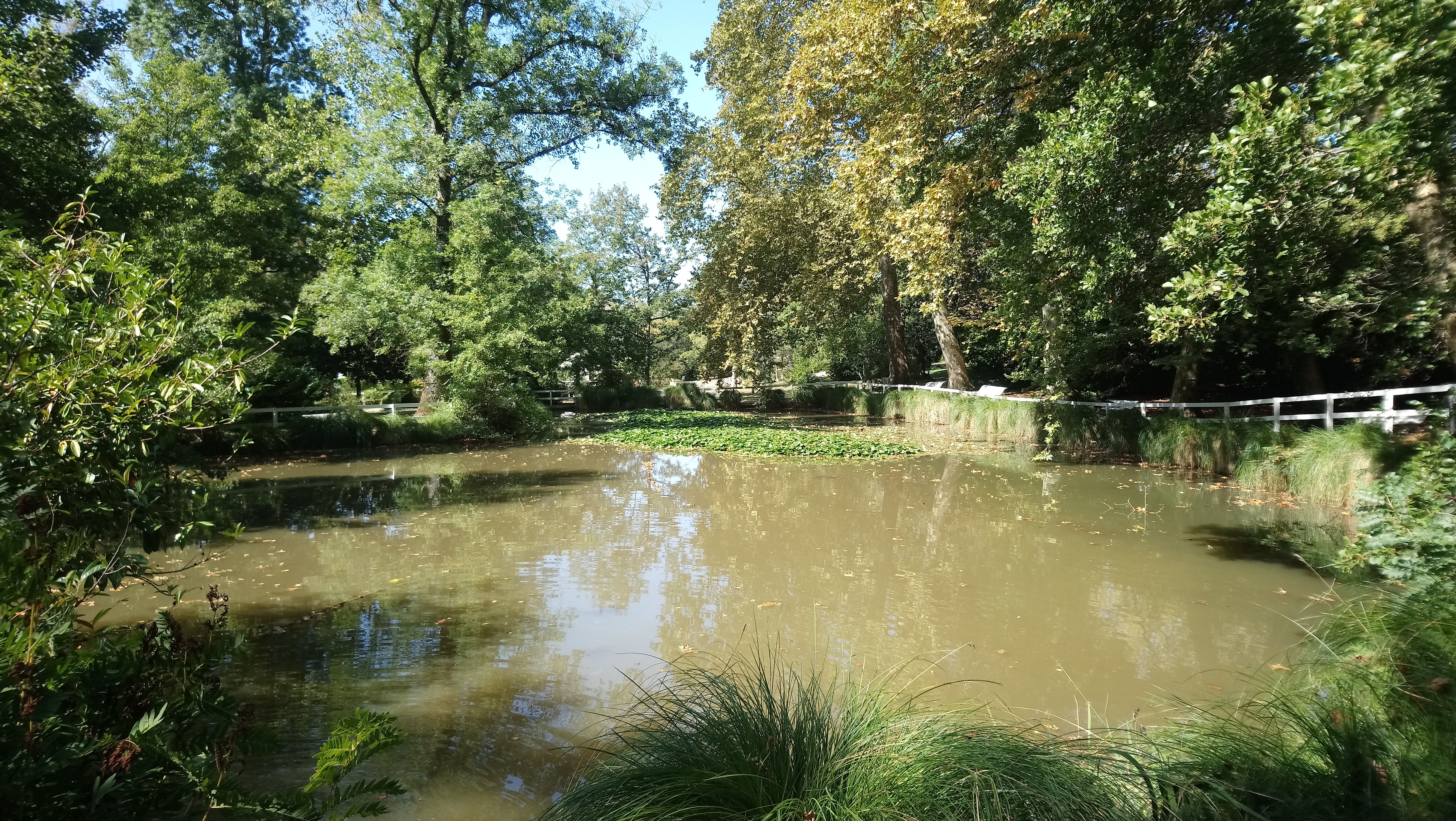 Photo n° 9 de l'avis de Al.8 fait le 26/09/2019 à 04:35