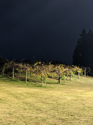 Spa «Chateau Elan Spa», reviews and photos, Haven Harbour Dr, Braselton, GA 30517, USA