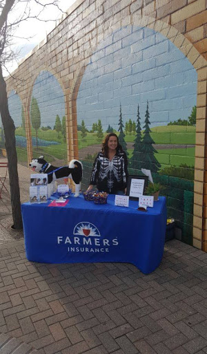 Insurance Agency «Farmers Insurance - Erin Janke», reviews and photos