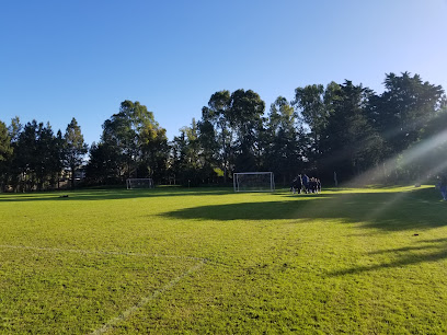 Campo de Deportes Colegio Santa Rita